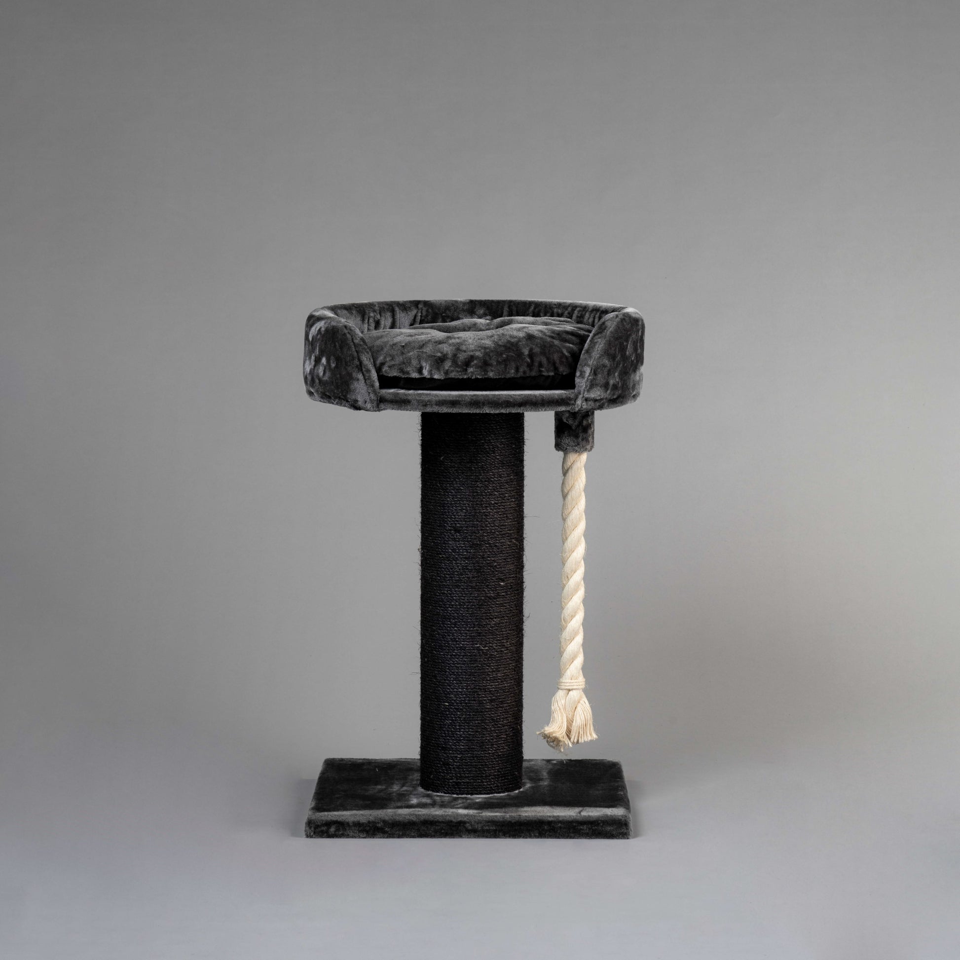 Kradsetræet Chartreux (Blackline)