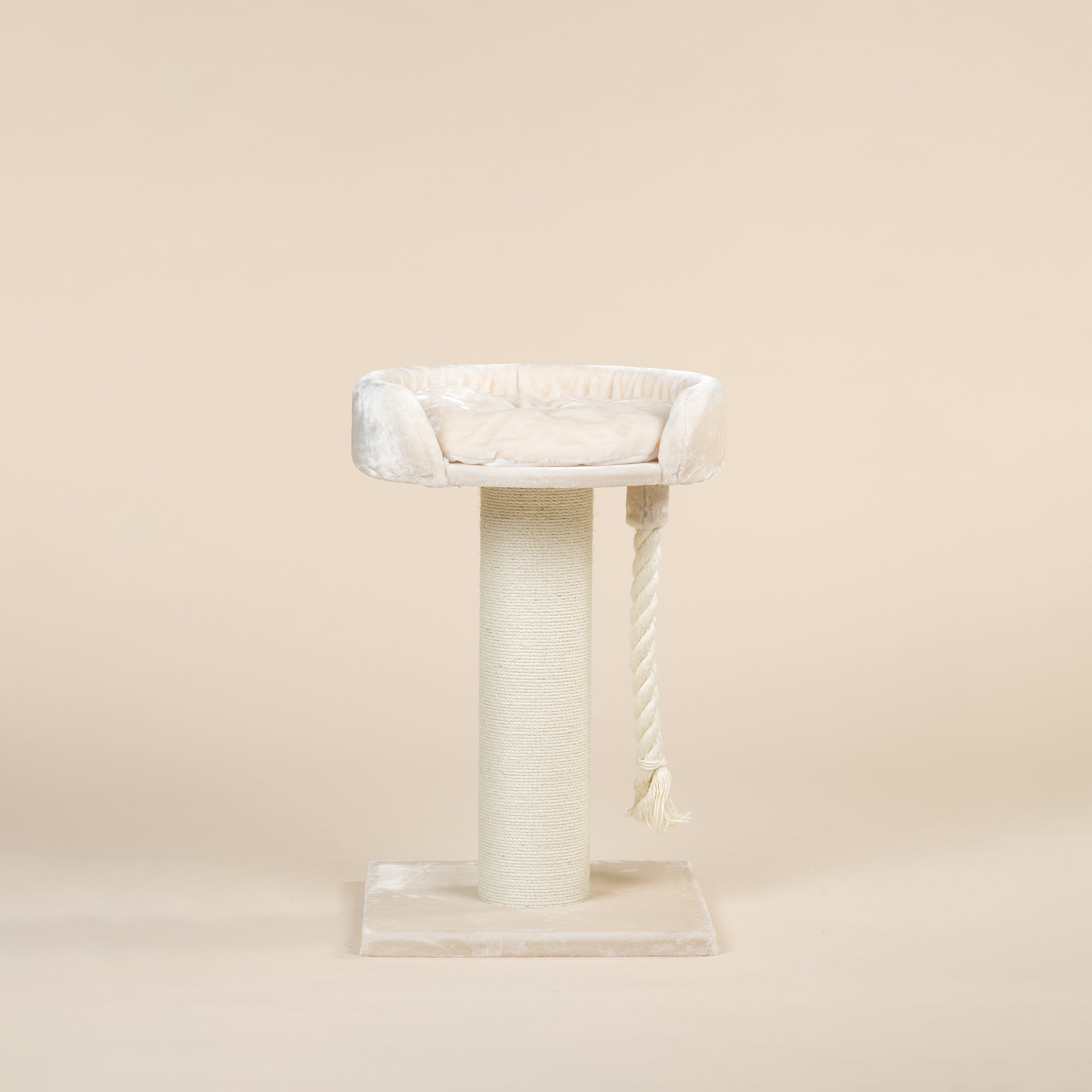 Kradsetræet Chartreux (Beige)