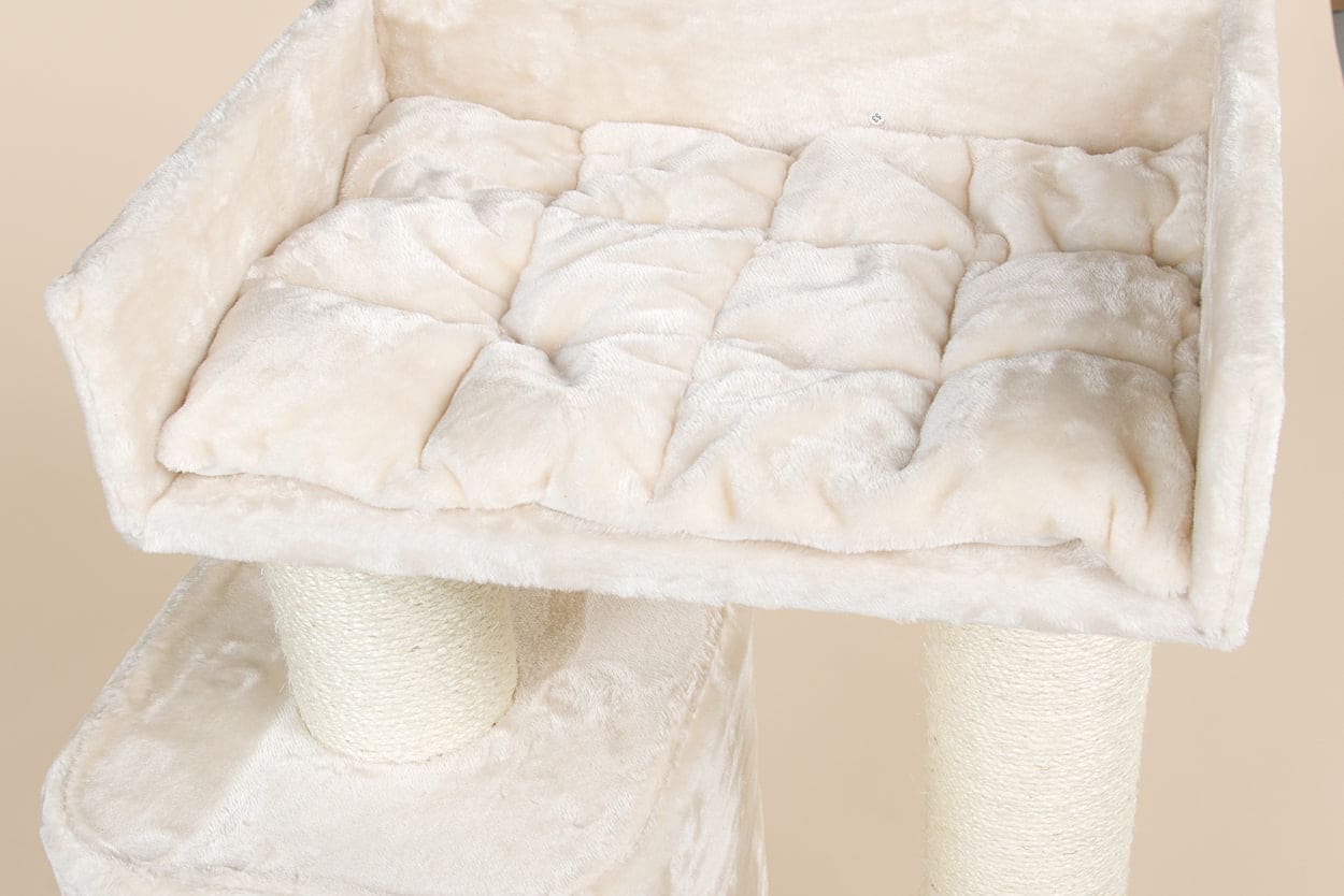 Kradsetræet Devon Rex - Creme