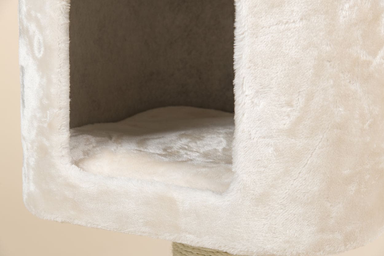 Kradsetræet Devon Rex - Creme