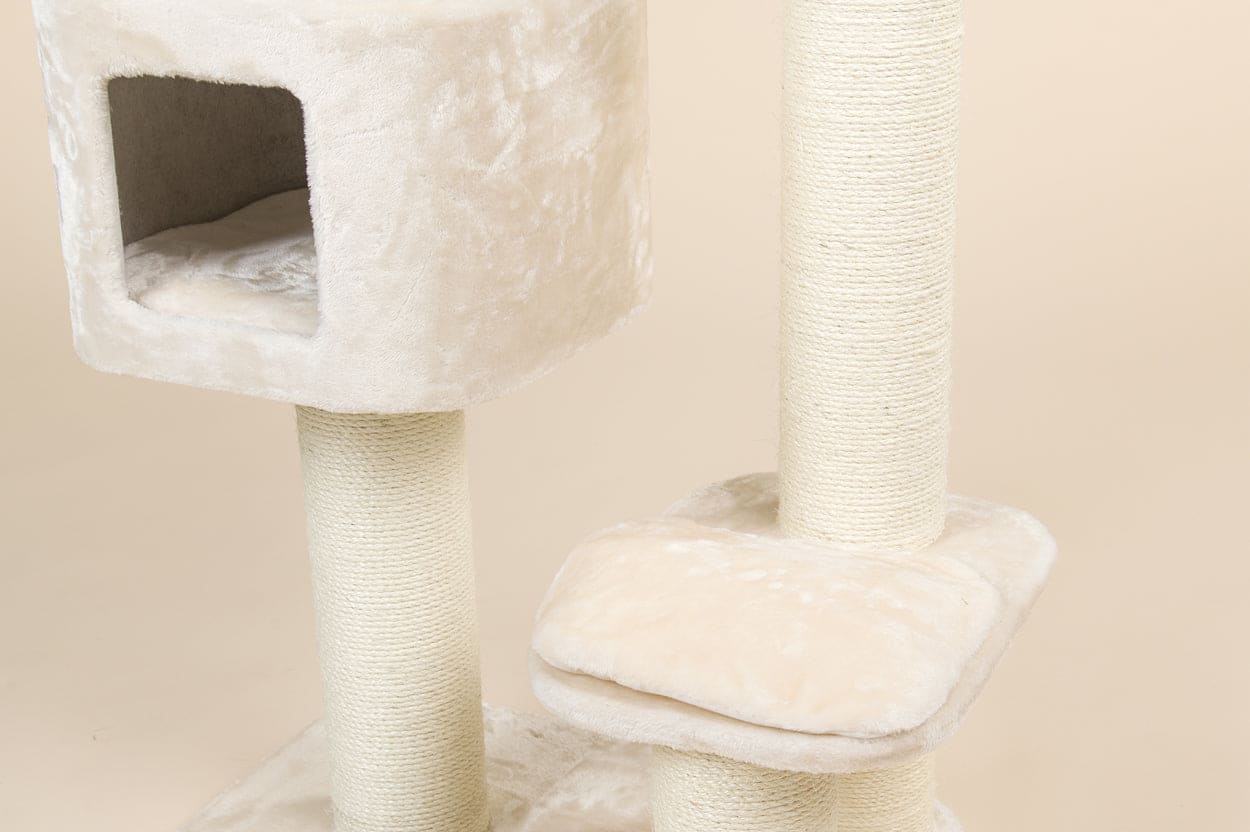 Kradsetræet Devon Rex - Creme