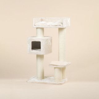 Kradsetræet Devon Rex (Beige)